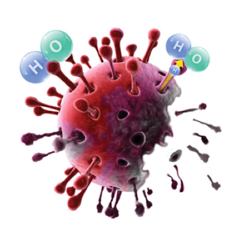Gli ioni attaccano le proteine del virus